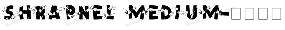 Shrapnel Medium字体转换